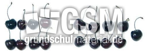 Kirschen8+9.jpg